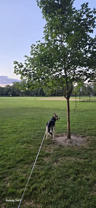 McKinley Dog Park 3