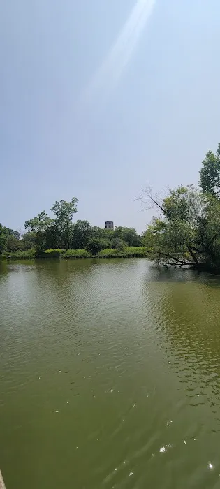 McKinley Dog Park 1