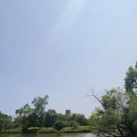 McKinley Dog Park ico