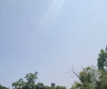 McKinley Dog Park