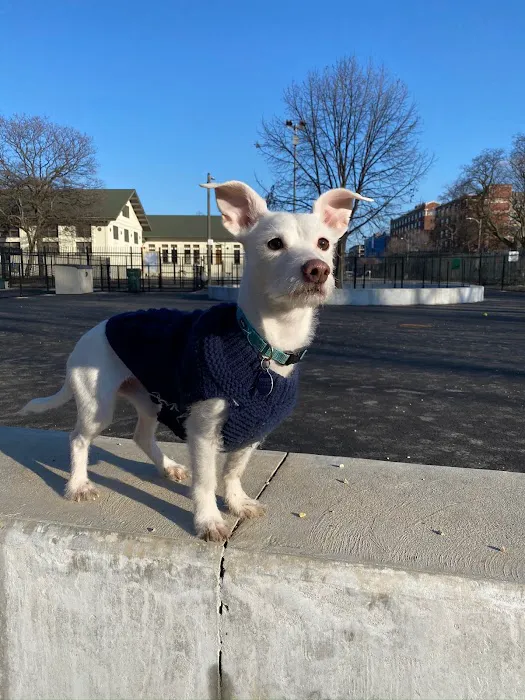 McKinley Dog Park 10