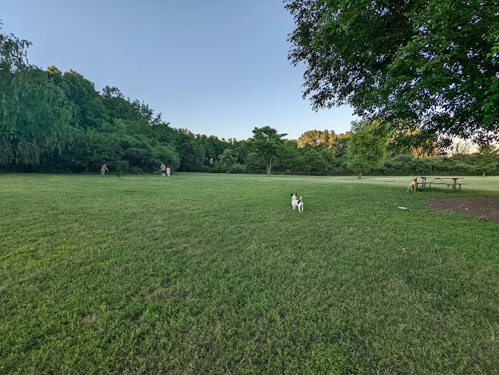 Spring Avenue Dog Park 3