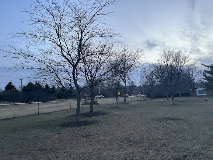 Spring Avenue Dog Park 1
