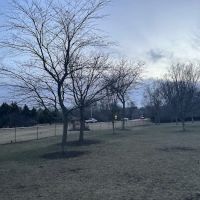 Spring Avenue Dog Park ico
