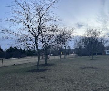 Spring Avenue Dog Park