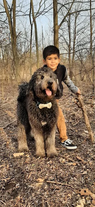 Spring Avenue Dog Park 6