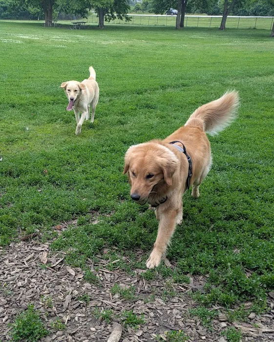 Spring Avenue Dog Park 5