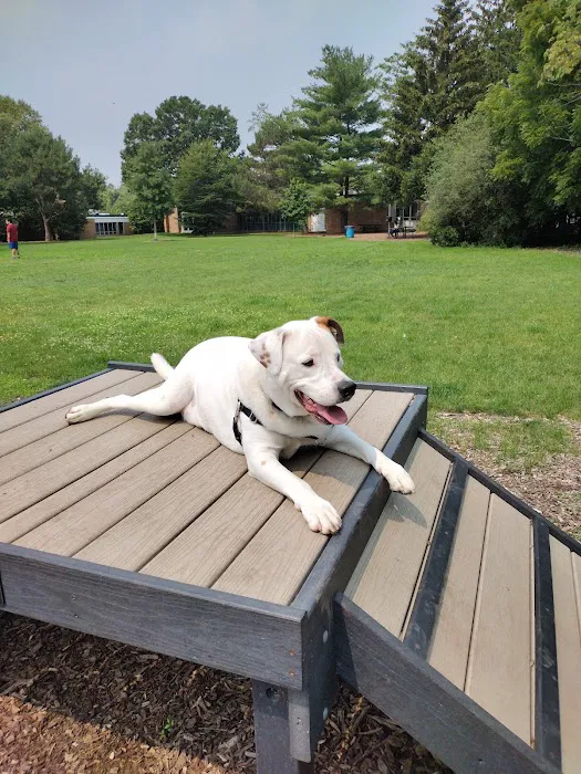 Spring Avenue Dog Park 4