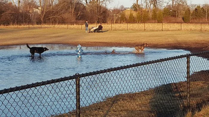 Bark Park 5