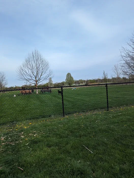 Bark Park 4