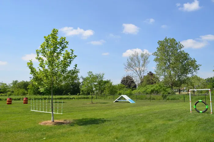 Bark Park 8