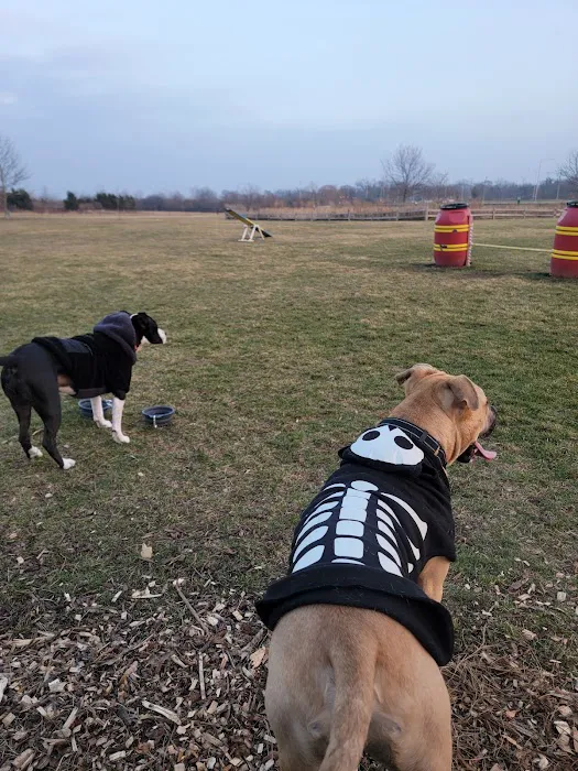 Bark Park 9