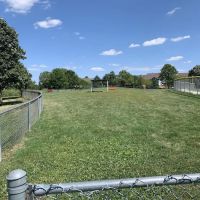 Dog Park ico