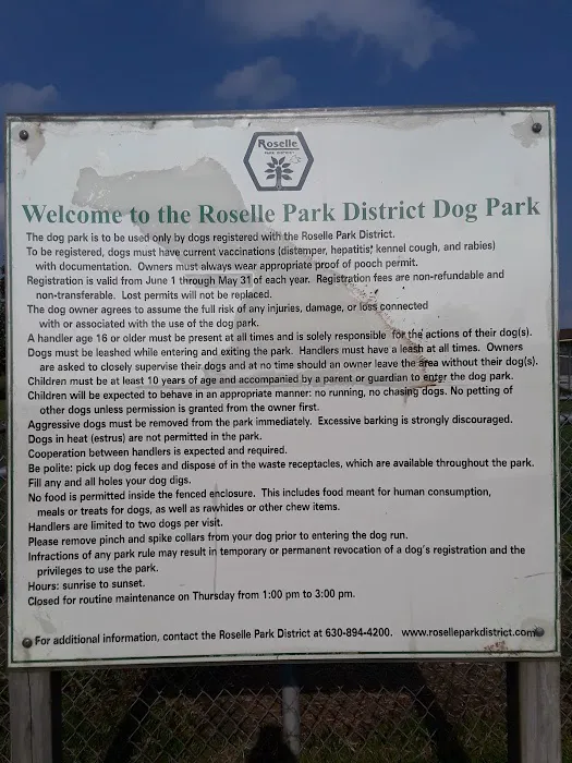Dog Park 4