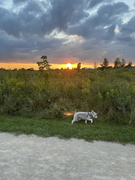 Hawk Hollow Dog Park 1