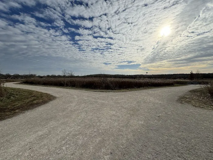 Hawk Hollow Dog Park 9
