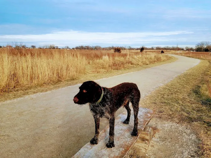 Hawk Hollow Dog Park 6