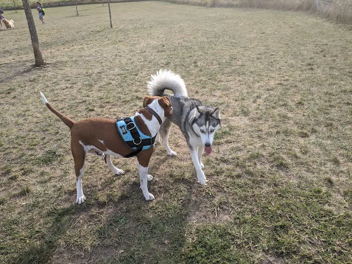 Hawk Hollow Dog Park 10