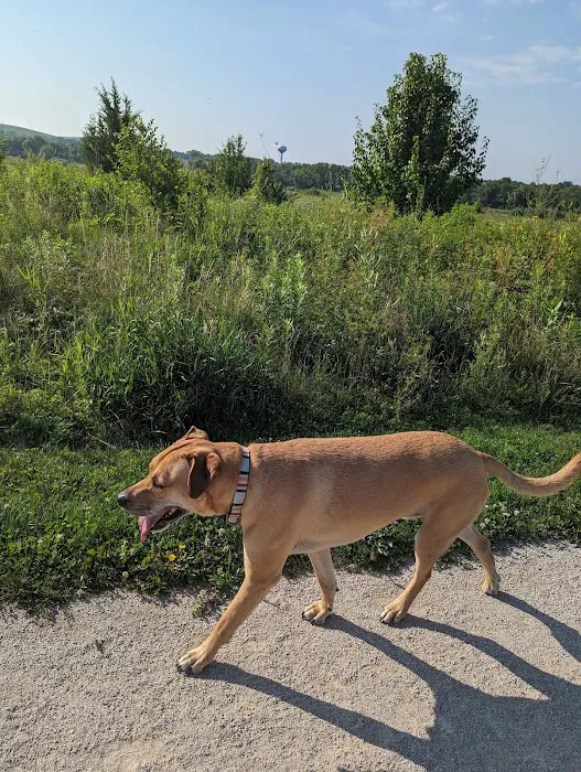 Hawk Hollow Dog Park 8