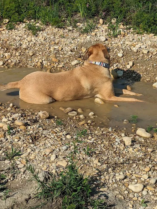 Hawk Hollow Dog Park 3