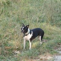 Blackwell Off-Leash Dog Area and Canoe Launch Lot ico