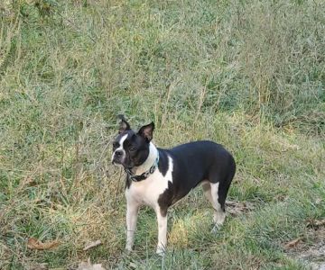 Blackwell Off-Leash Dog Area and Canoe Launch Lot