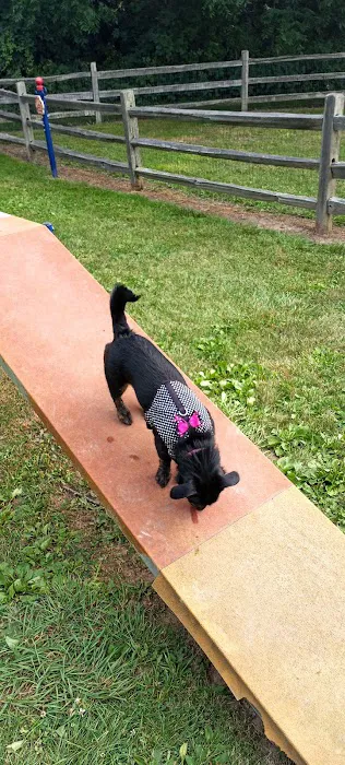Larsen Nature Preserve And Dog Park 2