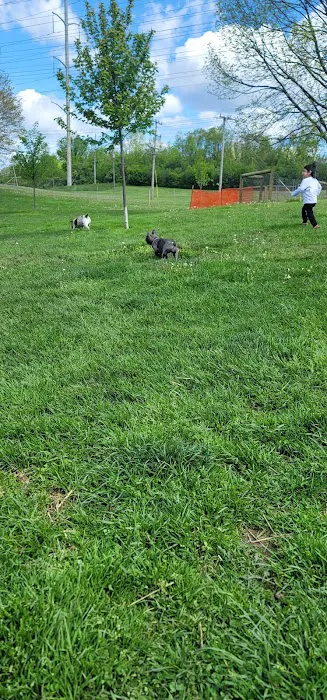 Larsen Nature Preserve And Dog Park 5