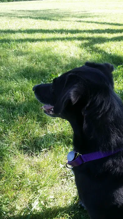 Larsen Nature Preserve And Dog Park 8