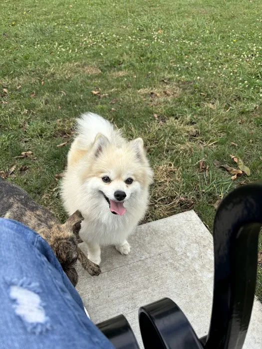 Larsen Nature Preserve And Dog Park 3