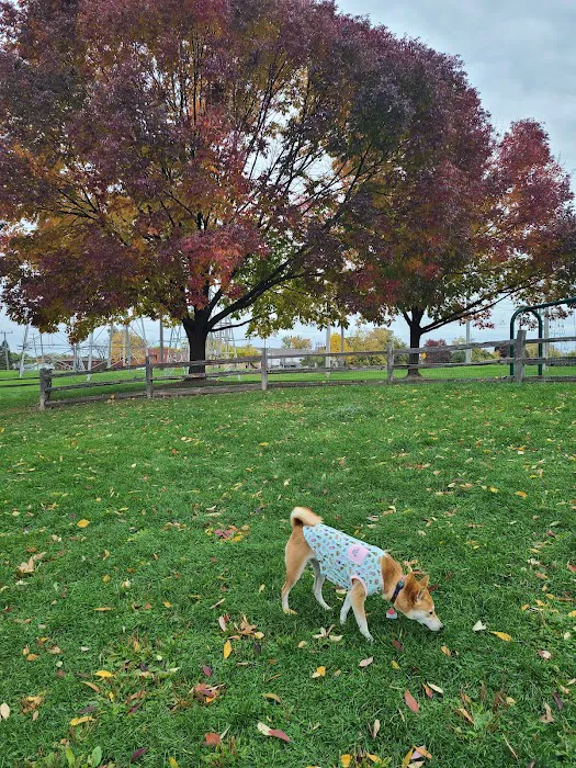 Callahan-Franklin Dog Exercise Area 1