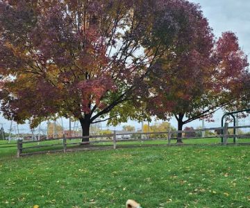 Callahan-Franklin Dog Exercise Area