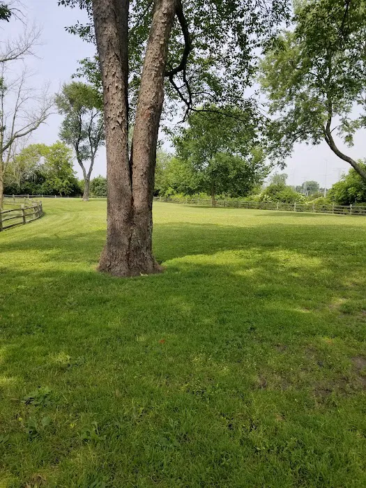Callahan-Franklin Dog Exercise Area 6