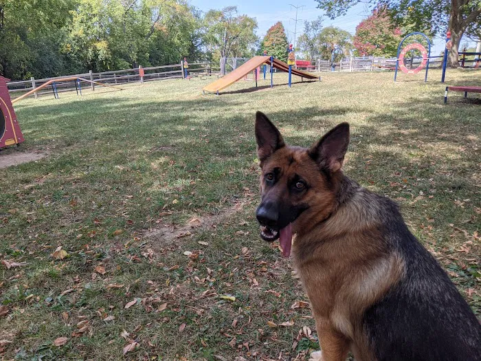 Callahan-Franklin Dog Exercise Area 2