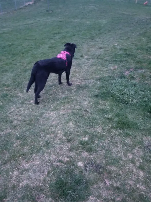 Callahan-Franklin Dog Exercise Area 7
