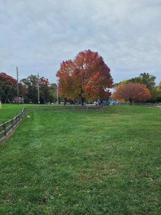 Callahan-Franklin Dog Exercise Area 4