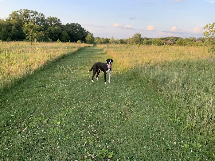 Lakewood Off-Leash Dog Area 4