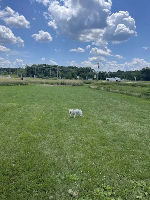 Lakewood Off-Leash Dog Area 10