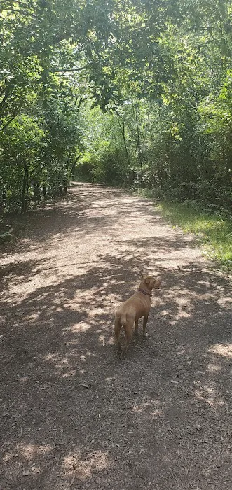 Lakewood Off-Leash Dog Area 5