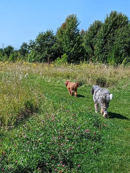 Lakewood Off-Leash Dog Area 9
