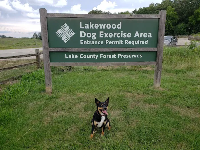 Lakewood Off-Leash Dog Area 3