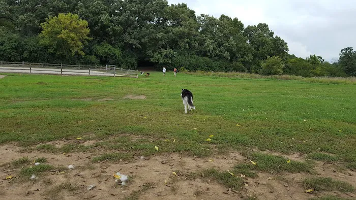 Lakewood Off-Leash Dog Area 6