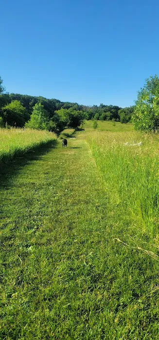 Lakewood Off-Leash Dog Area 2