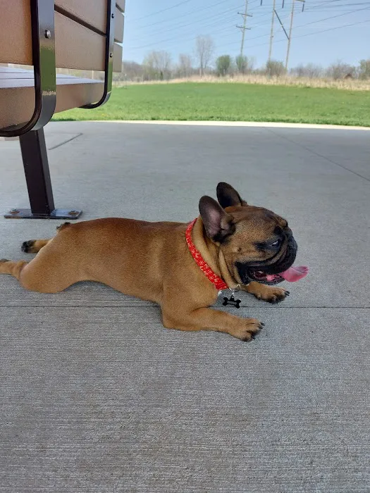 Waukegan Savanna Off-Leash Dog Area 8