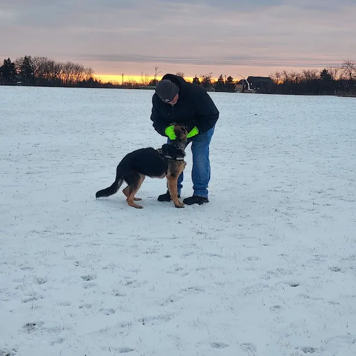 Waukegan Savanna Off-Leash Dog Area 5