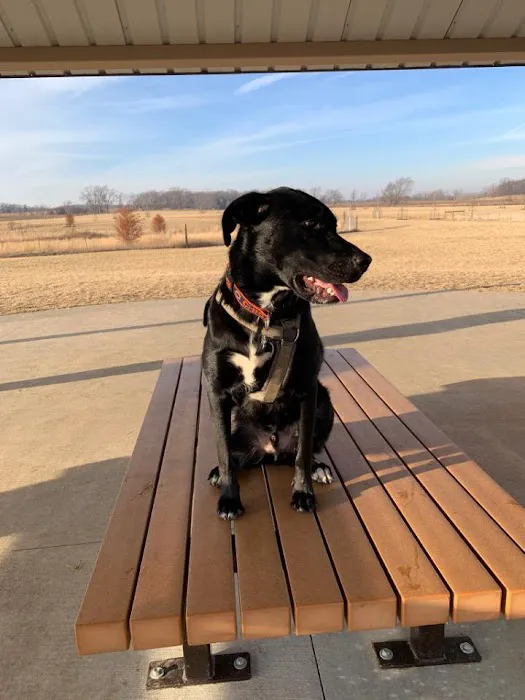 Waukegan Savanna Off-Leash Dog Area 1