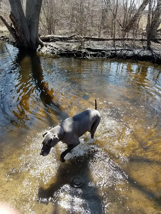 Duck Farm Off-Leash Dog Area 3