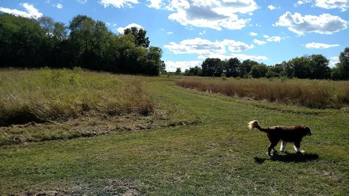 Duck Farm Off-Leash Dog Area 8