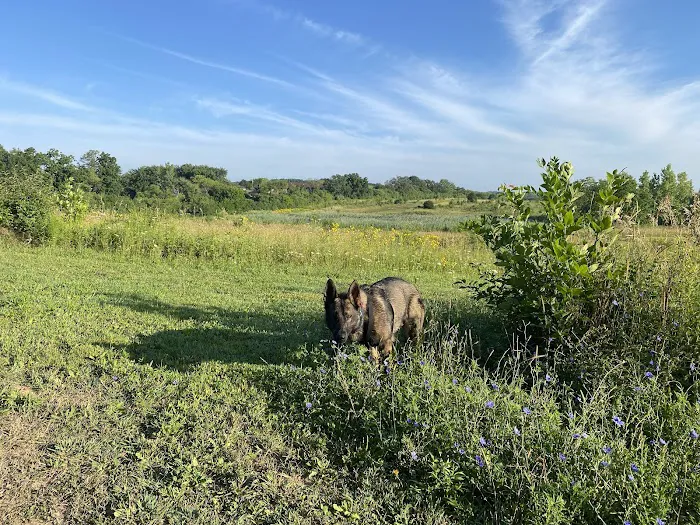 Duck Farm Off-Leash Dog Area 2