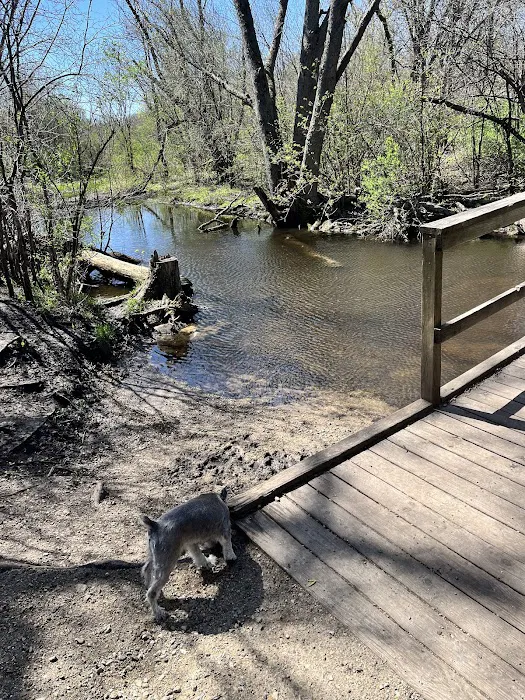 Duck Farm Off-Leash Dog Area 5